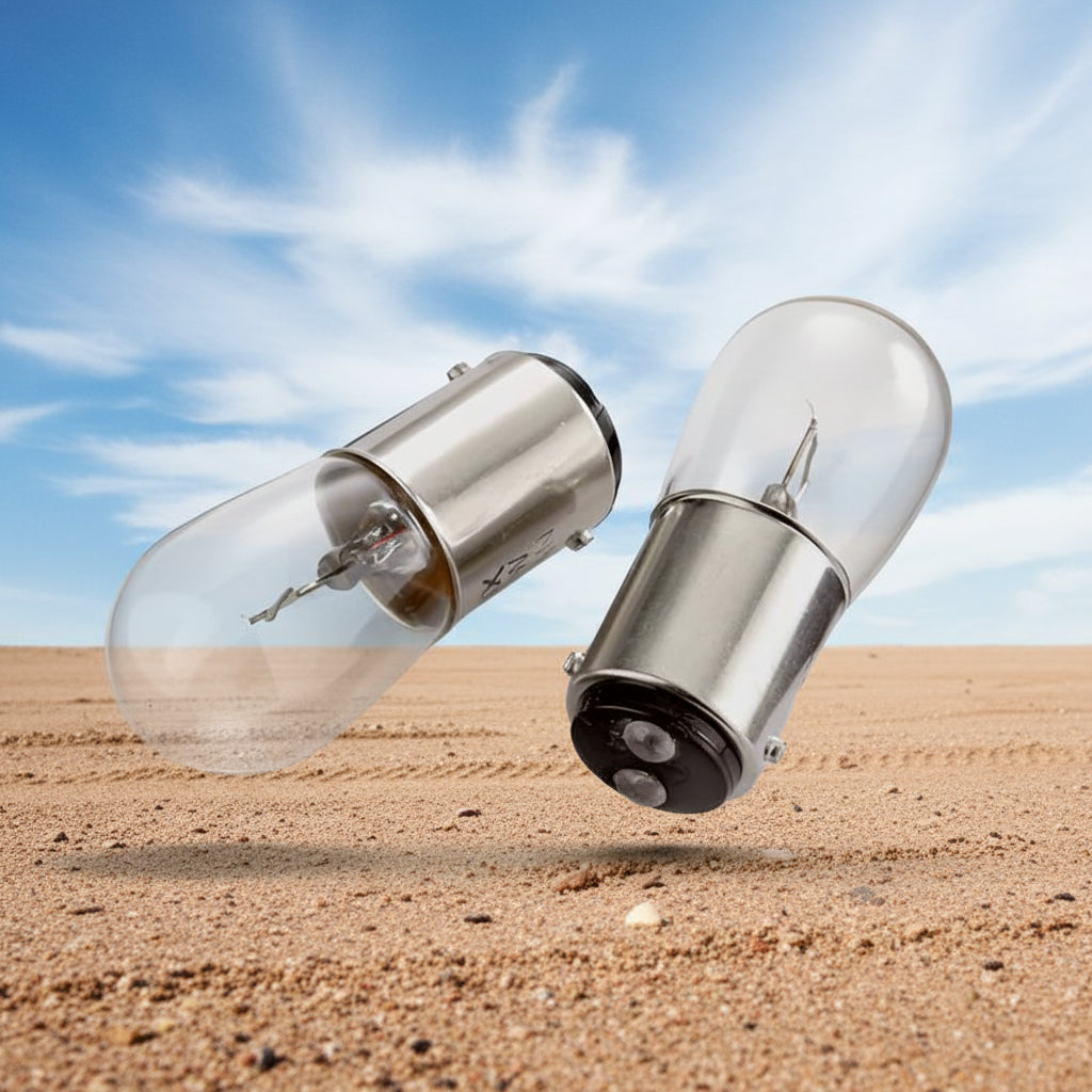 Interior Light Globes